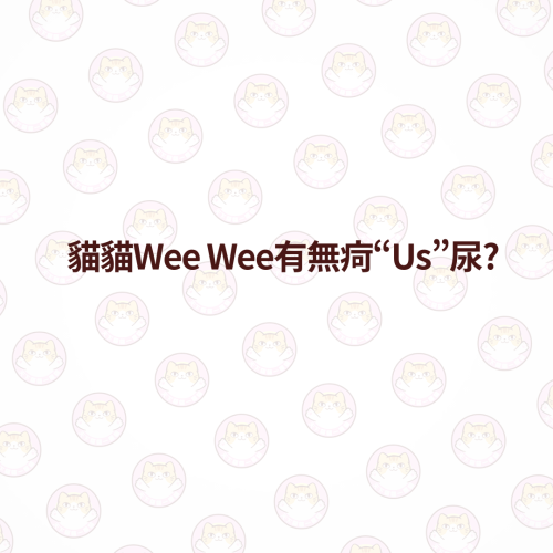 泌尿問題相關
